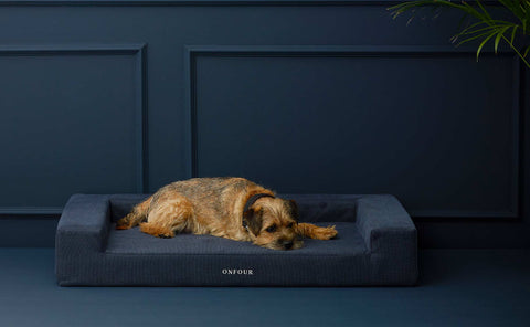 Dog beds to complement your home’s style